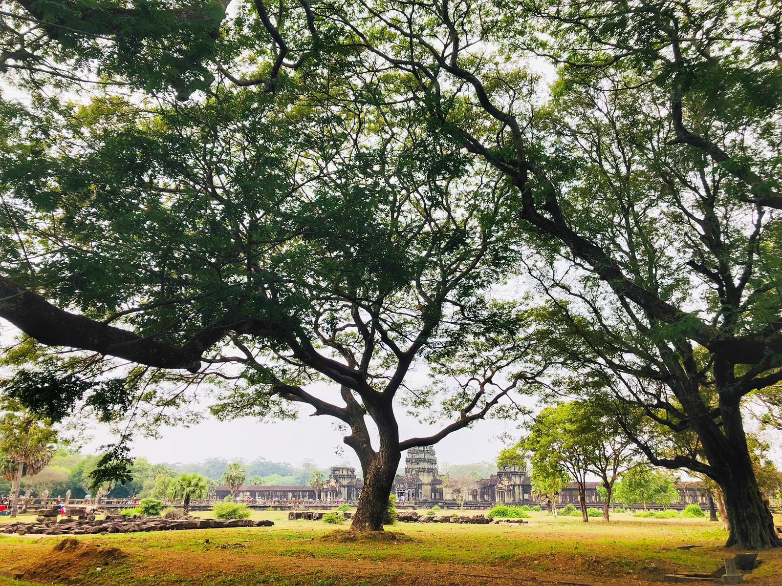 Easy Siem Reap Cycling Tour 4 Days